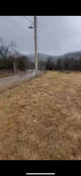 ����� ������� ������,�. ������, ������ ������>
