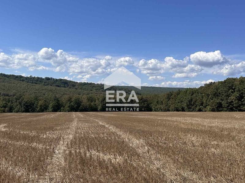 Eladó  Cselekmény régió Várna , Junec , 5400 négyzetméter | 92340530 - kép [2]