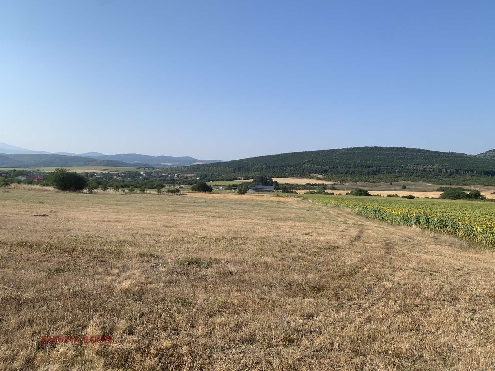 Продава ПАРЦЕЛ, с. Храбърско, област София област, снимка 4 - Парцели - 55886415
