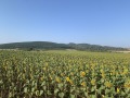 Продава ПАРЦЕЛ, с. Храбърско, област София област, снимка 5