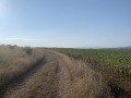 Продава ПАРЦЕЛ, с. Храбърско, област София област, снимка 9