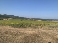 Продава ПАРЦЕЛ, с. Храбърско, област София област, снимка 1