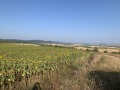 Продава ПАРЦЕЛ, с. Храбърско, област София област, снимка 8