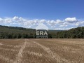 Продава ПАРЦЕЛ, област Варна, с. Юнец • 162000 € • 82685061 — Holmes.bg
