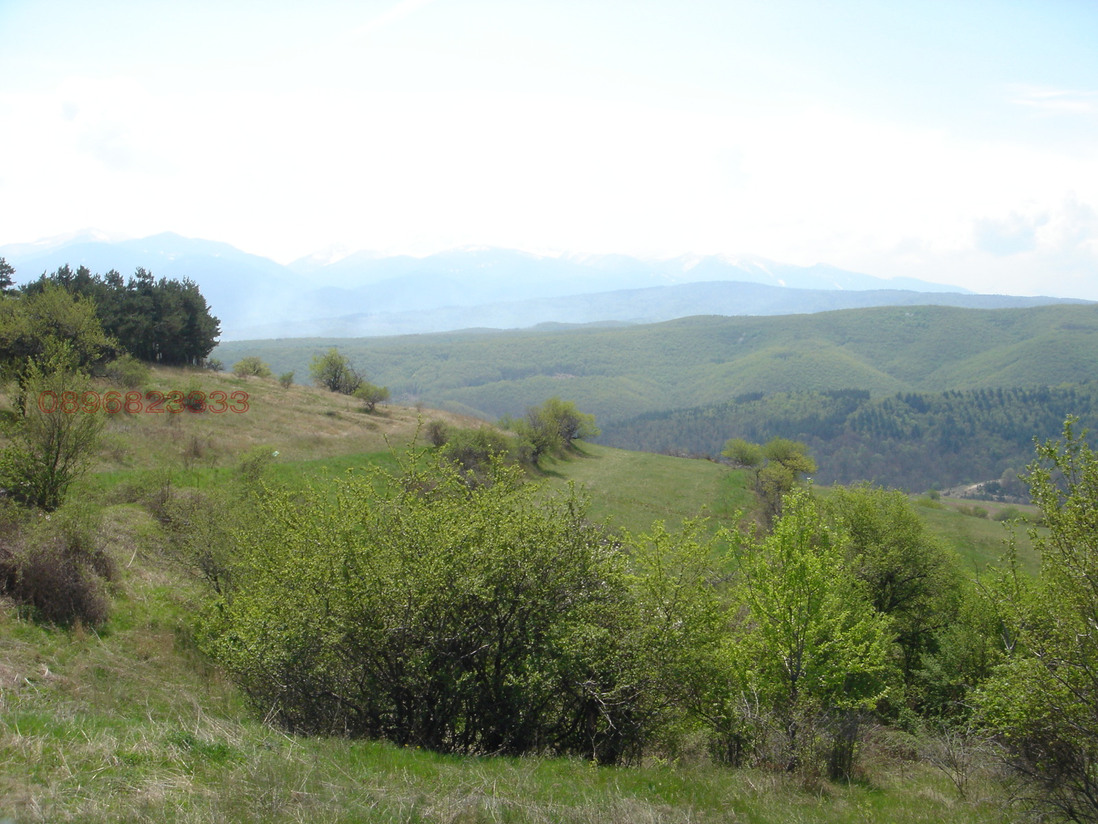 ������� ������ | Imot.bg � ����������� 1