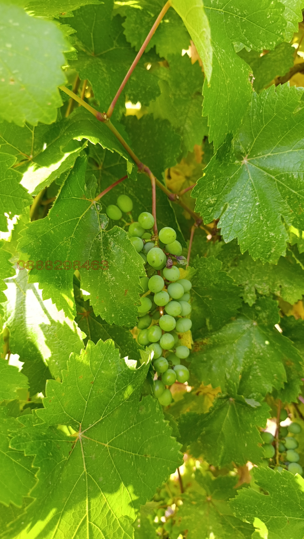 ������� ������ | Imot.bg � ����������� 10