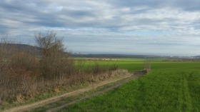 Parcelle Rogatchevo, région de Dobritch 1