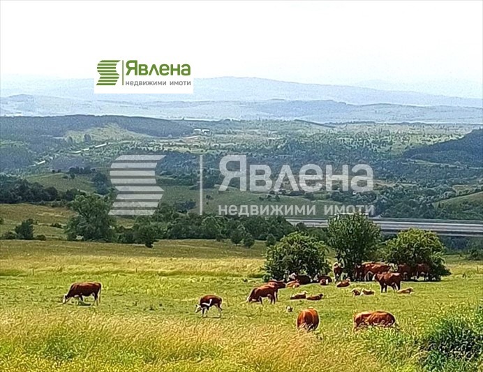 Продава КЪЩА, с. Големо Бучино, област Перник, снимка 7 - Къщи - 49590113