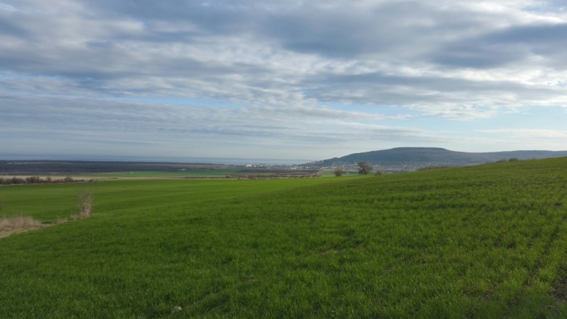 Προς πώληση  Οικόπεδο περιοχή Dobrich , Ρογατσεβο , 150000 τ.μ | 33114959 - εικόνα [7]