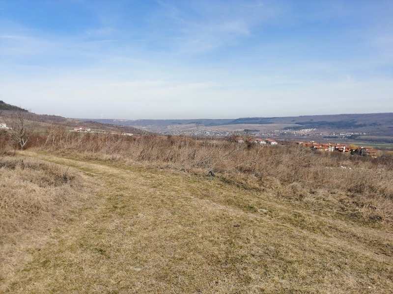 Zu verkaufen  Handlung region Dobritsch , Rogatschewo , 150000 qm | 33114959 - Bild [4]