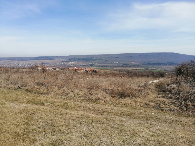 For Sale  Plot region Dobrich , Rogachevo , 150000 sq.m | 33114959 - image [3]