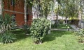Продава 1-СТАЕН, област Бургас, к.к. Слънчев бряг • 49900 € / 97595.92 лв. • 16856658 8