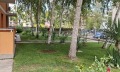 Продава 1-СТАЕН, област Бургас, к.к. Слънчев бряг • 49900 € / 97595.92 лв. • 16856658 9