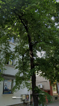 Продава 3-СТАЕН, град Стара Загора, Център • 122500 € / 239589.17 лв. • 52137712 8
