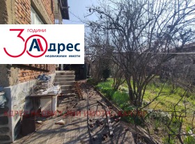 ����� ������� ����,���� ���������, ������