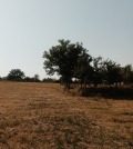 Продава ПАРЦЕЛ, гр. Велики Преслав, област Шумен, снимка 2