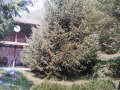 Продава КЪЩА, с. Лява река, област Стара Загора, снимка 4