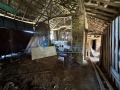 Продава КЪЩА, област Велико Търново, с. Масларево • 14000 € / 27381.62 лв. • 46595099 12