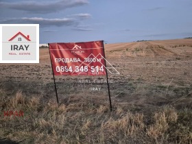 ����� ������� ������,���� ������, ������