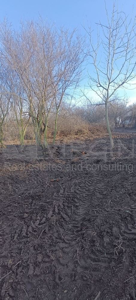 Продава ПАРЦЕЛ, гр. Варна, с. Звездица, снимка 4 - Парцели - 53495282