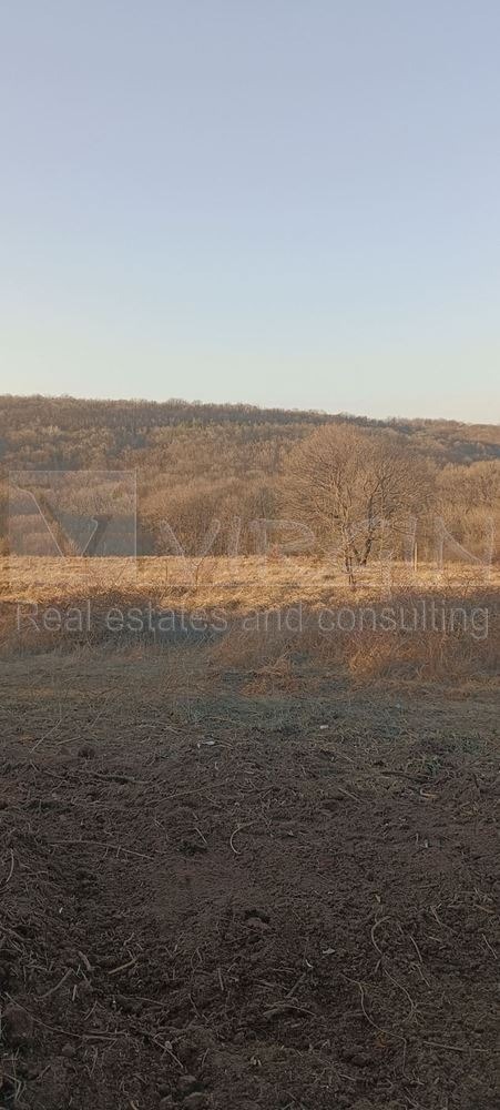 Продава ПАРЦЕЛ, гр. Варна, с. Звездица, снимка 3 - Парцели - 53495282