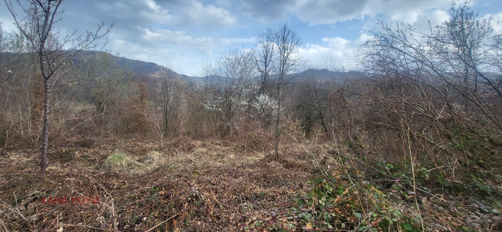 Продава ПАРЦЕЛ | Imot.bg — изображение 5