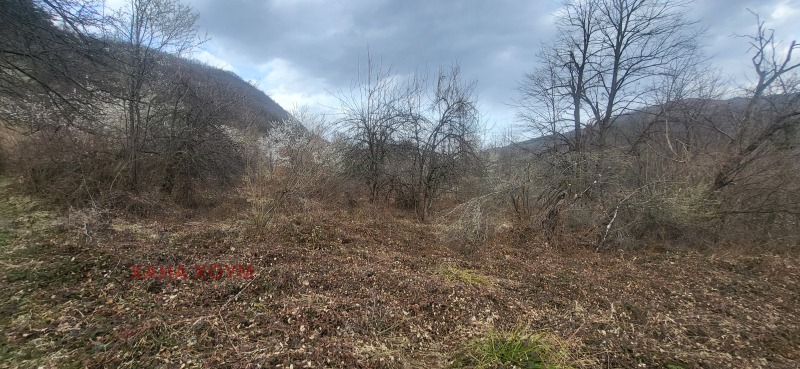 Na prodej  Spiknutí oblast Loveč , Černi Osam , 2855 m2 | 85998512 - obraz [10]