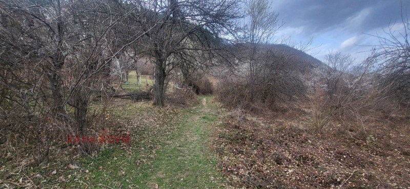 Na prodej  Spiknutí oblast Loveč , Černi Osam , 2855 m2 | 85998512 - obraz [3]