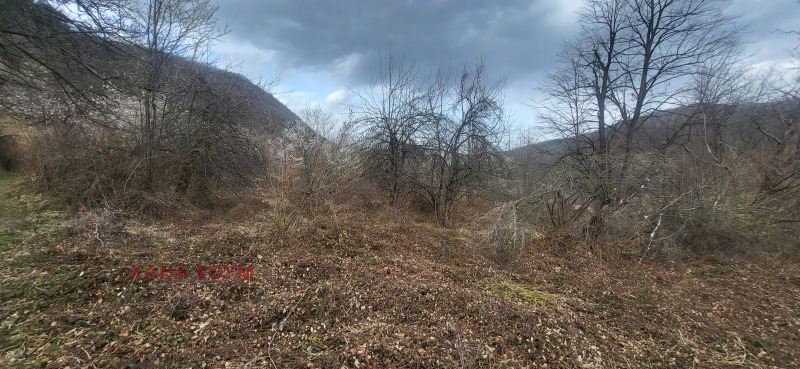 Na prodej  Spiknutí oblast Loveč , Černi Osam , 2855 m2 | 85998512 - obraz [4]