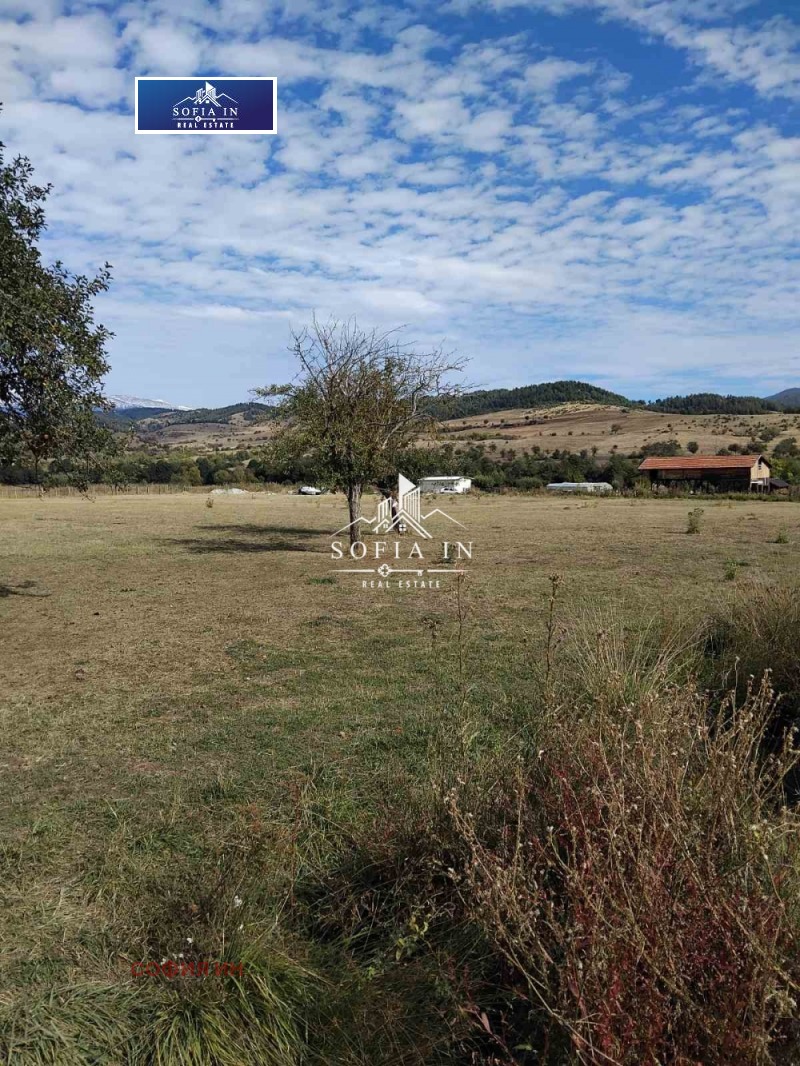 Продава ЗЕМЕДЕЛСКА ЗЕМЯ, гр. Белица, област Благоевград, снимка 3 - Земеделска земя - 52391622