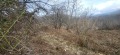 Продава ПАРЦЕЛ, област Ловеч, с. Черни Осъм • 17500 € • 57262458 — Holmes.bg