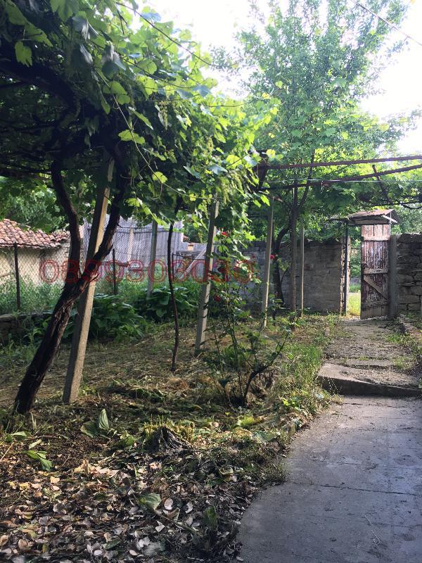 Продава КЪЩА, с. Церова кория, област Велико Търново, снимка 3 - Къщи - 54319444