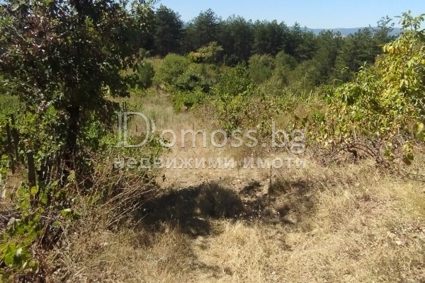 For Sale  Land region Blagoevgrad , Dabrava , 0.3 dka | 52502764 - image [9]