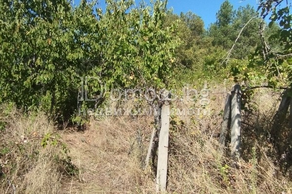 For Sale  Land region Blagoevgrad , Dabrava , 0.3 dka | 52502764 - image [6]