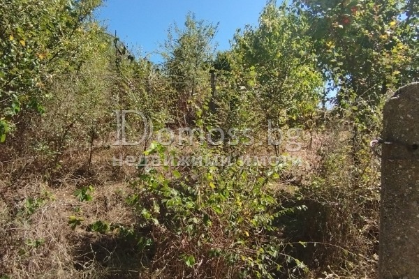 For Sale  Land region Blagoevgrad , Dabrava , 0.3 dka | 52502764 - image [7]