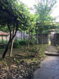Продава КЪЩА, с. Церова кория, област Велико Търново, снимка 3