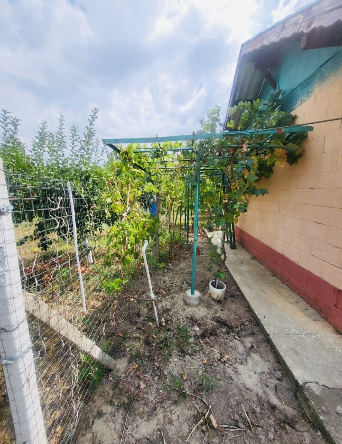 ������� ������ | Imot.bg � ����������� 11