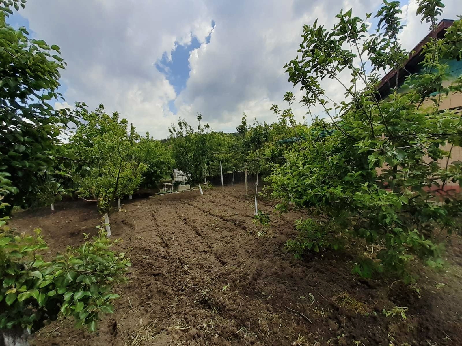 ������� ������ | Imot.bg � ����������� 10