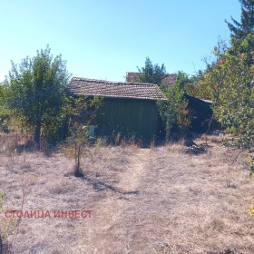 ����� ������� ����,���� ����, �.�. ������