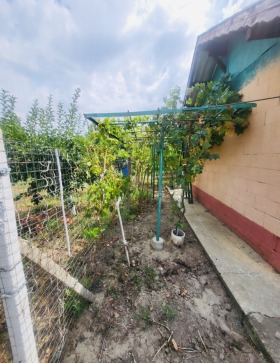 ������� ������ | Imot.bg � ����� ������ 11