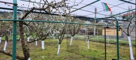 ������� ������ | Imot.bg � ����� ������ 9