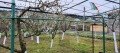 Продава ПАРЦЕЛ, с. Телиш, област Плевен, снимка 9