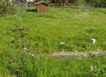 Продава ПАРЦЕЛ, град София, с. Бистрица • 164000 € / 320756.12 лв. • 59487430 1