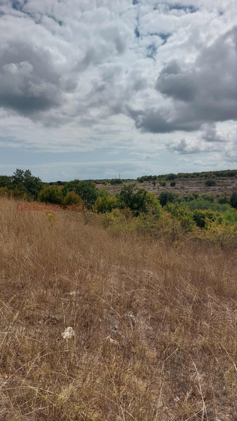 Продава ПАРЦЕЛ, с. Кичево, област Варна, снимка 2 - Парцели - 52676829