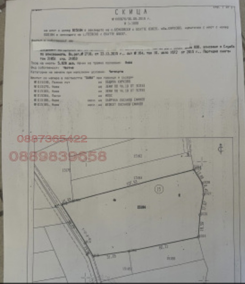 Продава ЗЕМЕДЕЛСКА ЗЕМЯ, с. Бенковски, област Кърджали, снимка 2 - Земеделска земя - 53470454