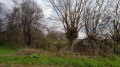 Продава  Парцел област Стара Загора , с. Ковач , 1235 кв.м | 95327419 - изображение [10]