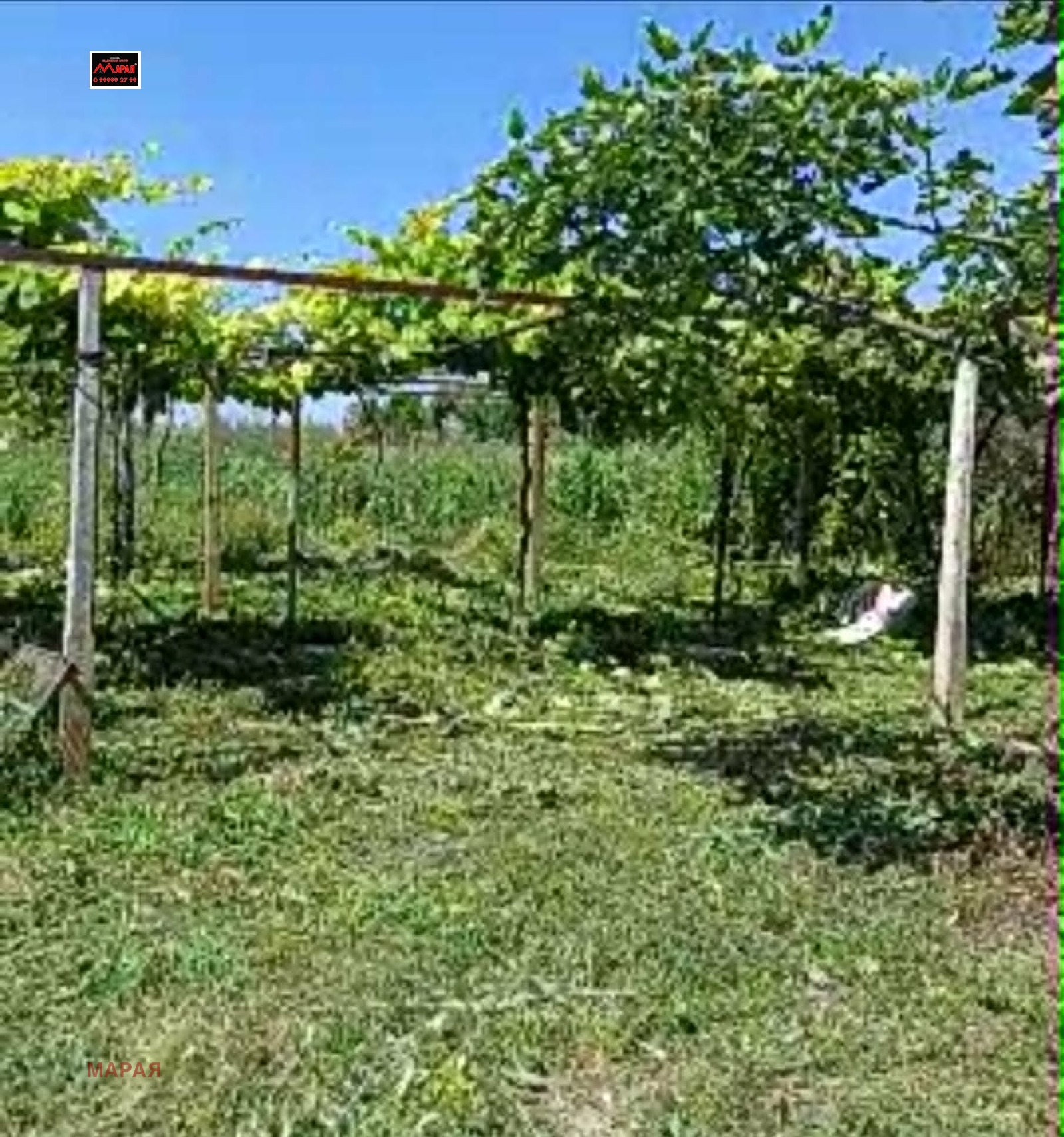 ������� ���� | Imot.bg � ����������� 17