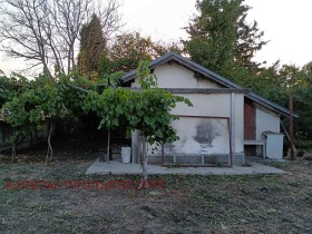 ����� ������� ����,�. ���������, ������ ����� ������