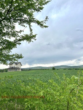 Cselekmény Zsiten, Sofia 1