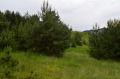 Продава ПАРЦЕЛ, гр. Доспат, област Смолян, снимка 14